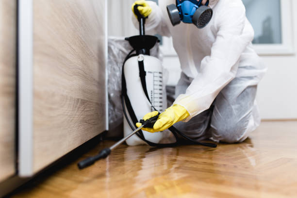 Best Cockroach Control Services  in Three Rivers, CA