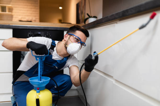Pest Control for Restaurants in Three Rivers, CA