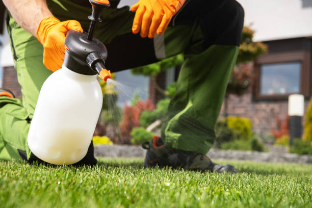 Best Affordable Pest Control Services  in Three Rivers, CA