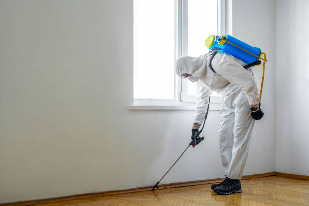 Best Exterminator Services  in Three Rivers, CA