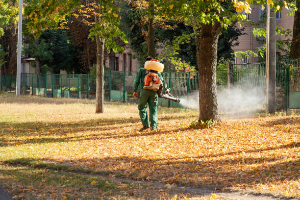 Best Termite Control Services  in Three Rivers, CA