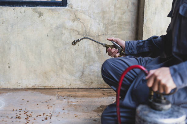 Best Rat Extermination Near Me  in Three Rivers, CA